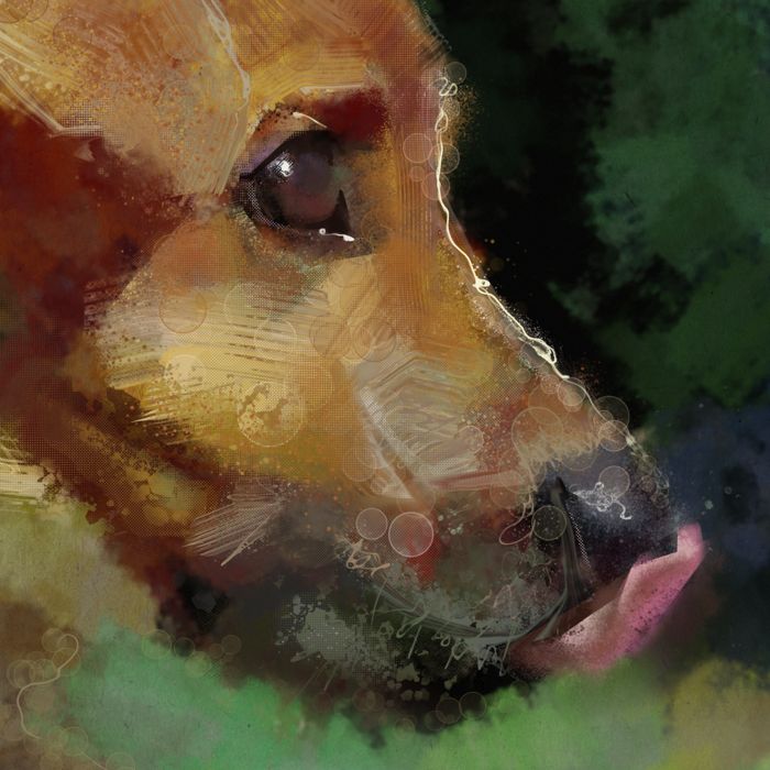 Django the Pup (fine art print)